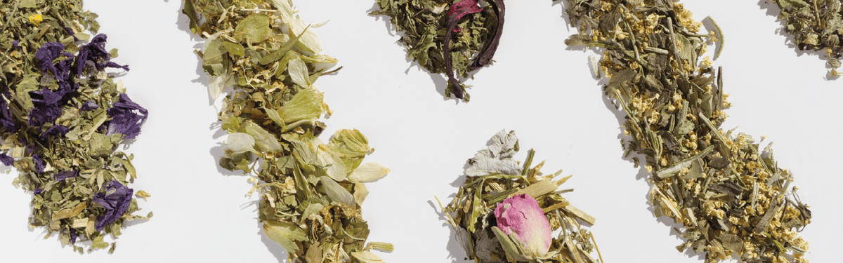Qu'est ce que la phytothérapie et comment l'utiliser au quotidien ? - Entre Deux Haies