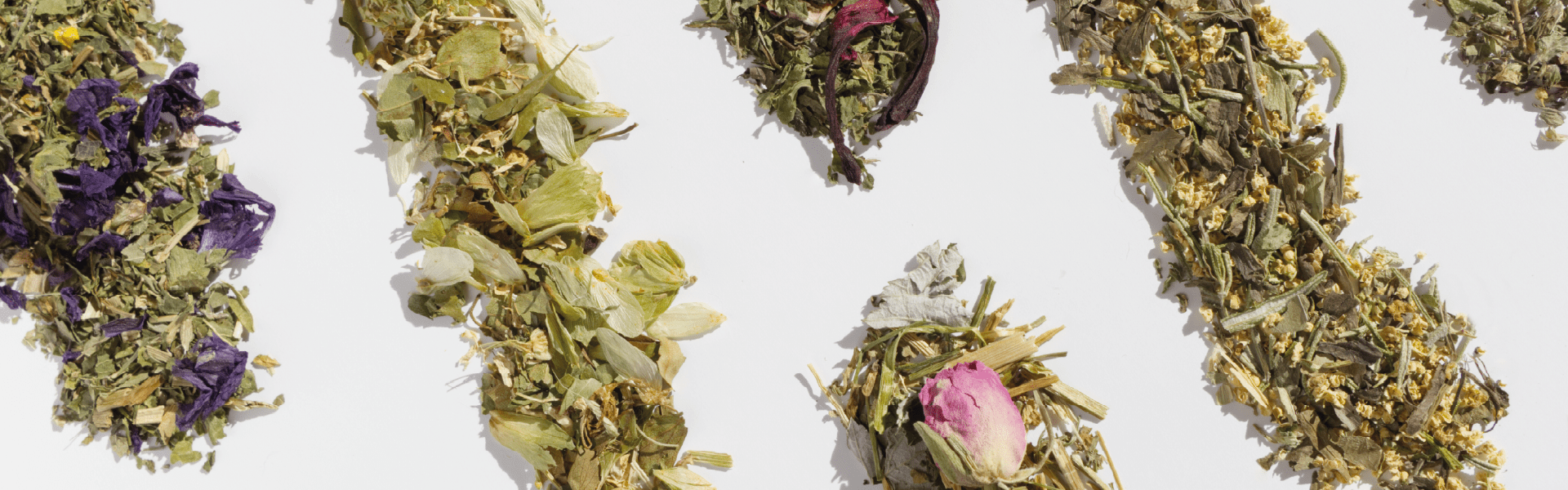 Qu'est ce que la phytothérapie et comment l'utiliser au quotidien ? - Entre Deux Haies