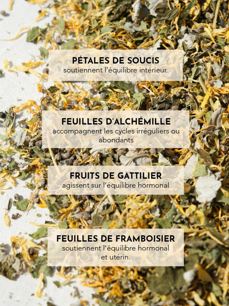 Tisane L'Instant Rebelle - Entre Deux Haies