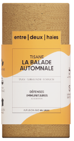 Tisane La Balade Automnale