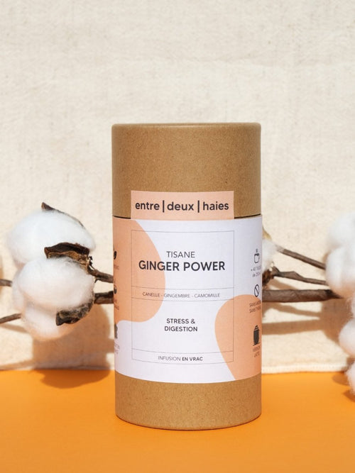 Tisane Ginger Power