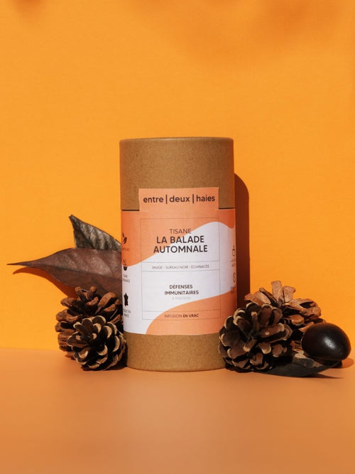 Tisane La Balade Automnale