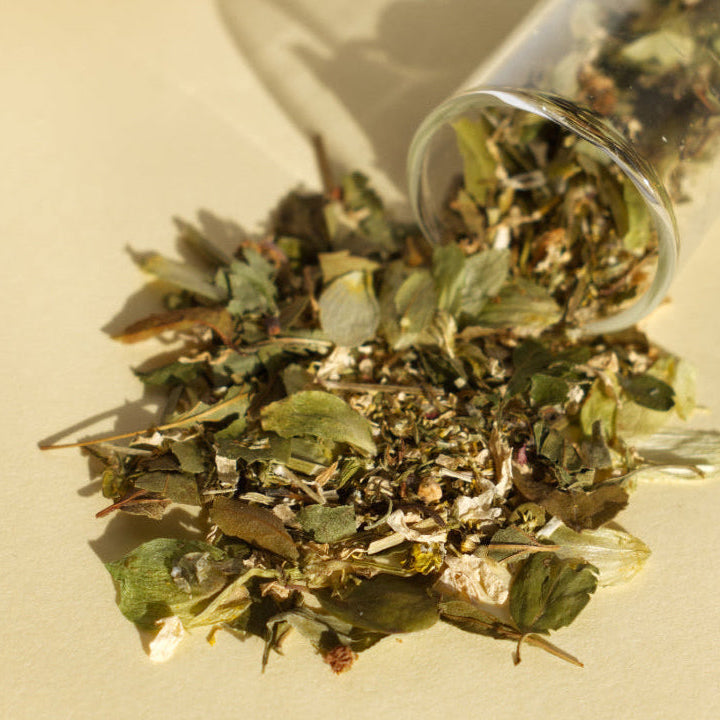 Tisane L'Instant Rebelle